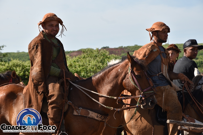 O Vaqueiro Descansa Seu Cavalo Na Frente De Uma Igreja Velha Na área Rural  De New Mexico Fotografia Editorial - Imagem de rancho, rural: 98899507