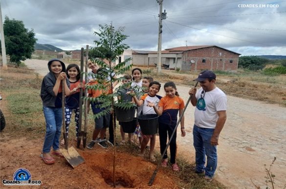 Fotos: Cidades em Foco